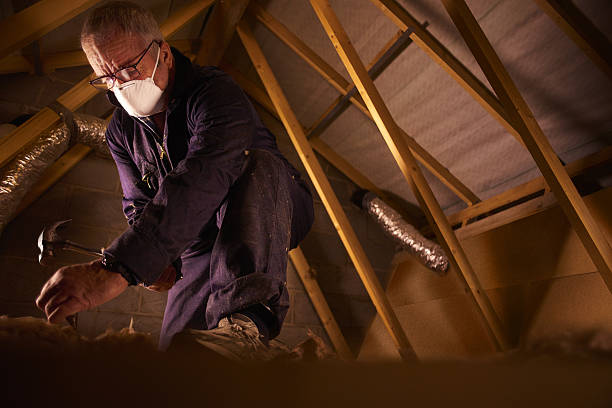 Best Energy-efficient Insulation  in North Vacherie, LA